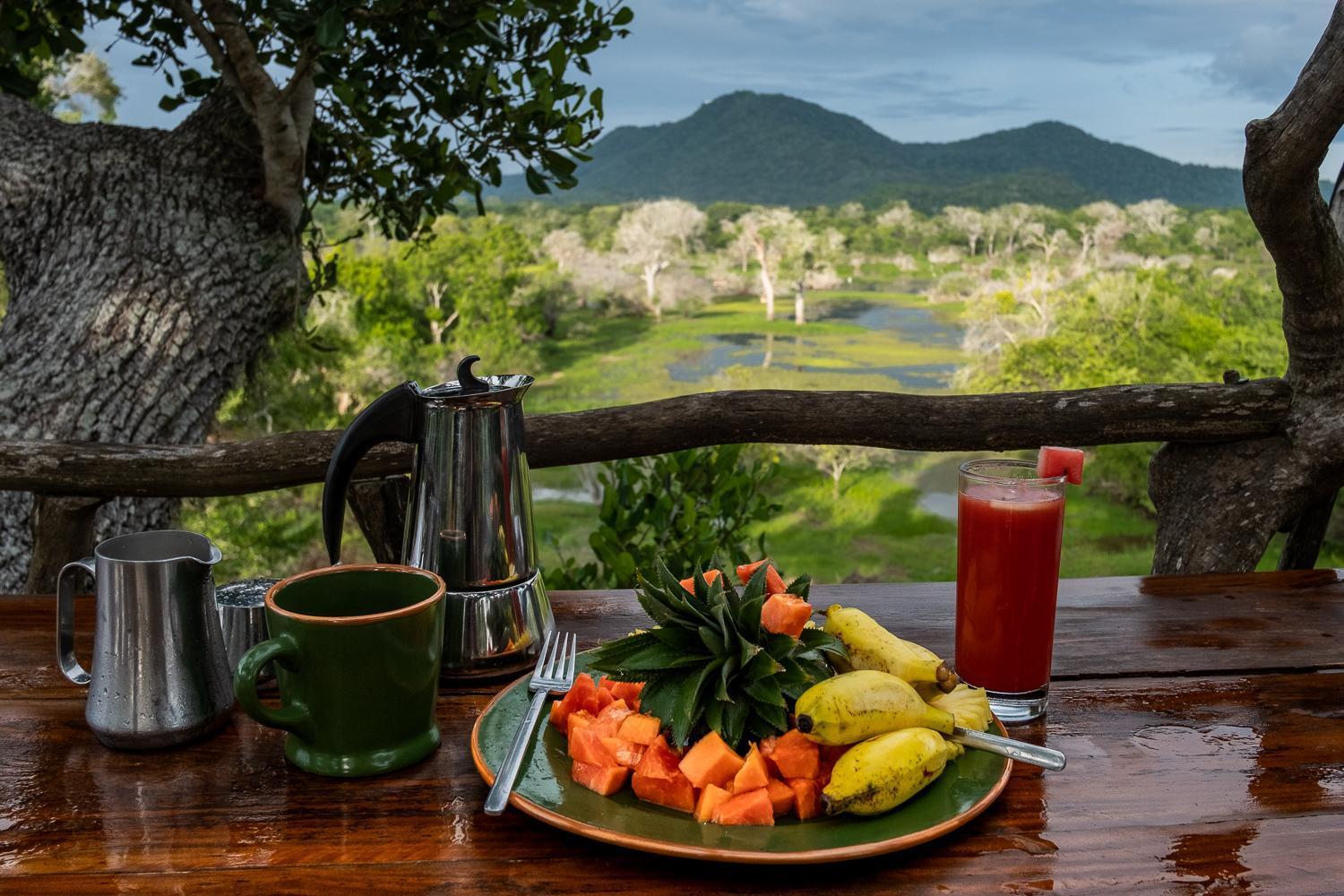 Kulu Safaris - All Inclusive Yala Dış mekan fotoğraf
