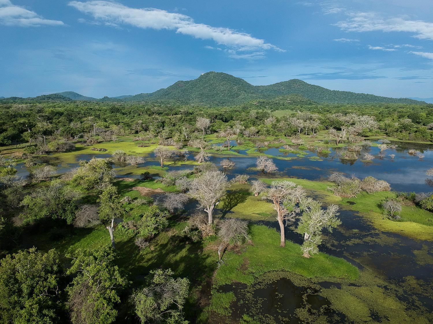 Kulu Safaris - All Inclusive Yala Dış mekan fotoğraf