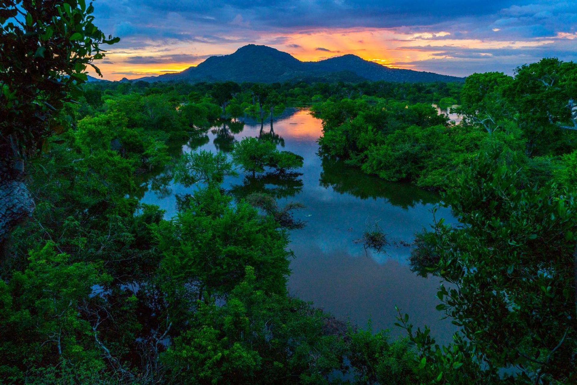 Kulu Safaris - All Inclusive Yala Dış mekan fotoğraf