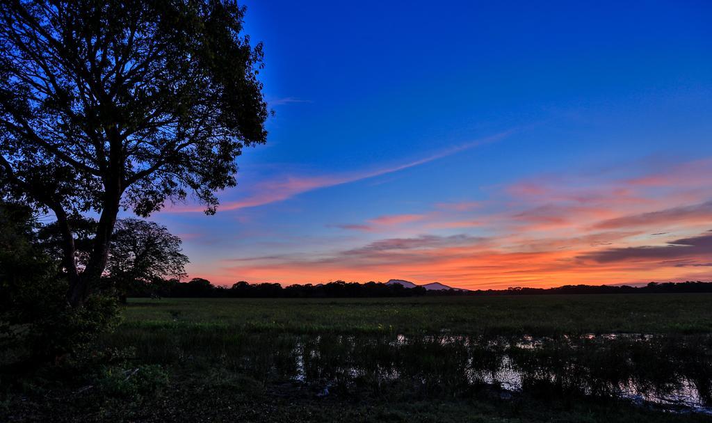 Kulu Safaris - All Inclusive Yala Dış mekan fotoğraf