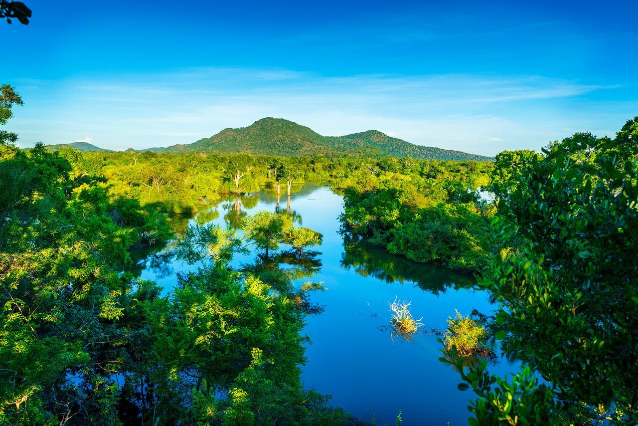 Kulu Safaris - All Inclusive Yala Dış mekan fotoğraf